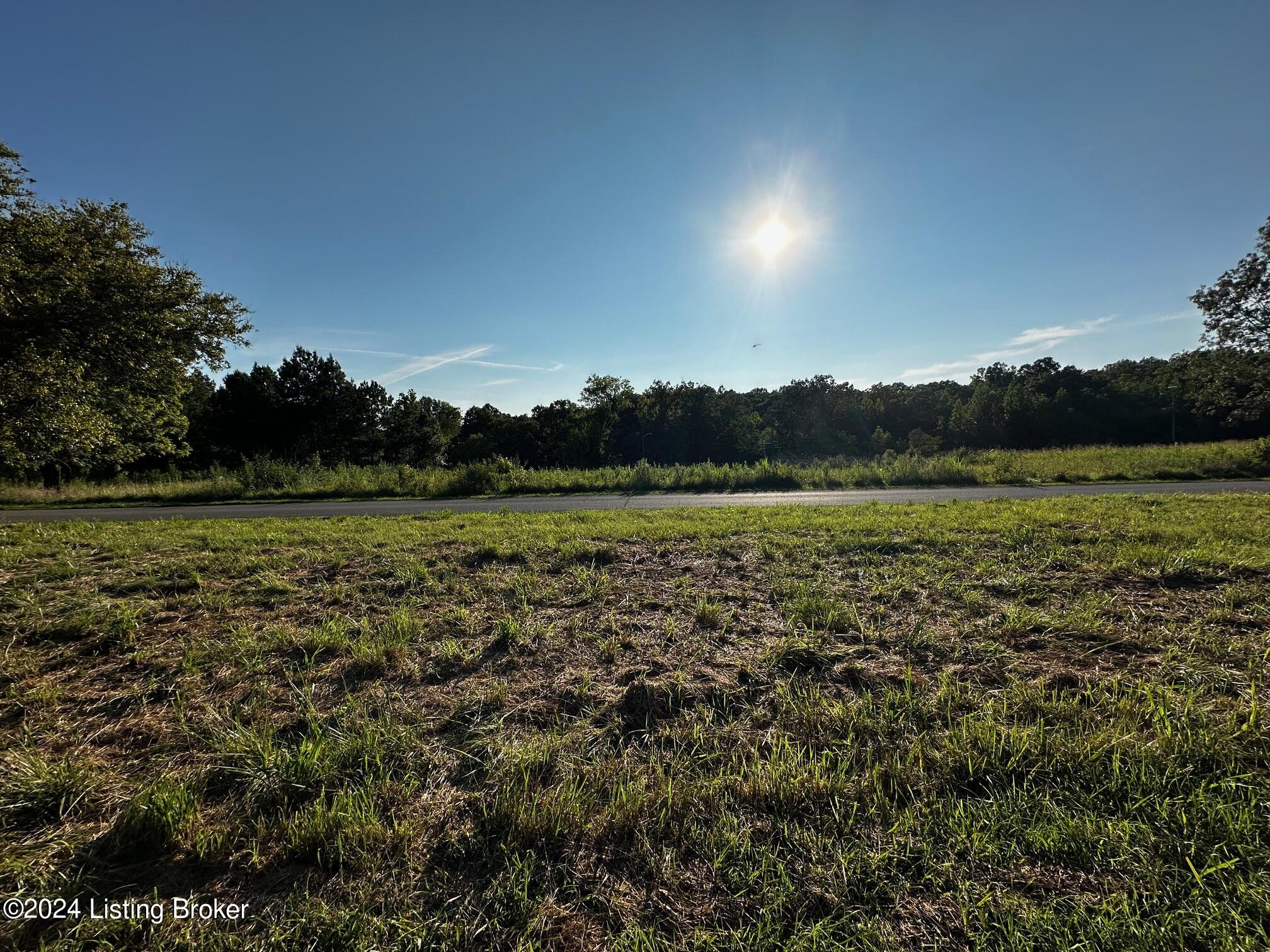 430 Bard Road Greenville, KY 42345 - Photo 4 of 16 430 Bard Lane 04