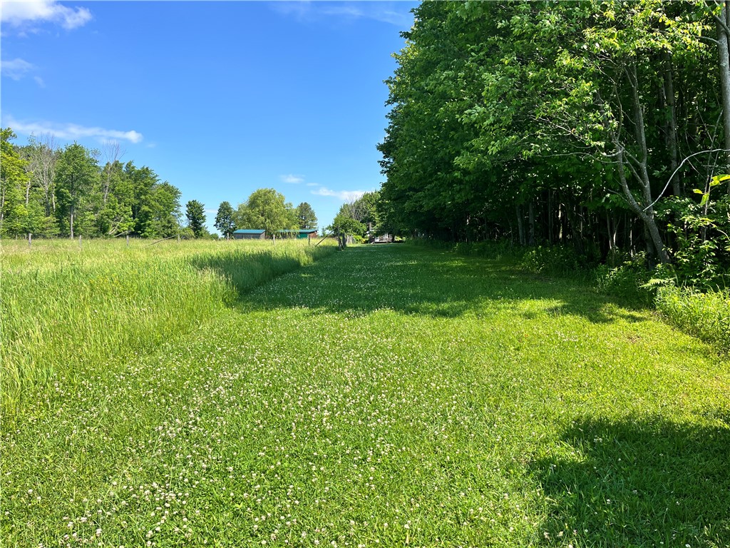 882 Alma Hill Road Alma, NY 14708 - Photo 43 of 46