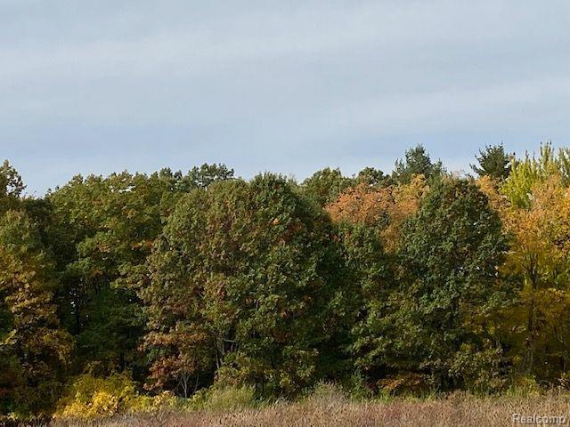 8.26 Acres Lapeer, MI 48446 - Photo 6 of 7