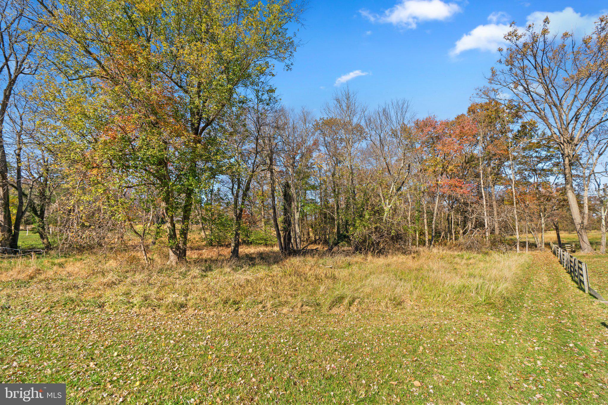 Olney Sandy Spring Road Ashton, MD 20861 - Photo 4 of 21