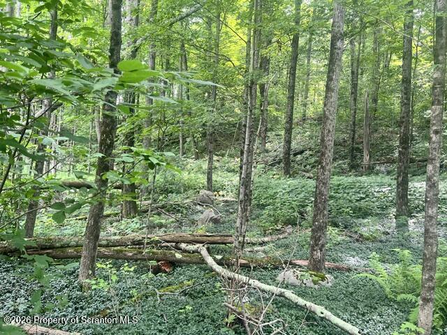 840 Maplewood Road Lake Ariel, PA 18436 - Photo 7 of 10 a view of a lush green forest