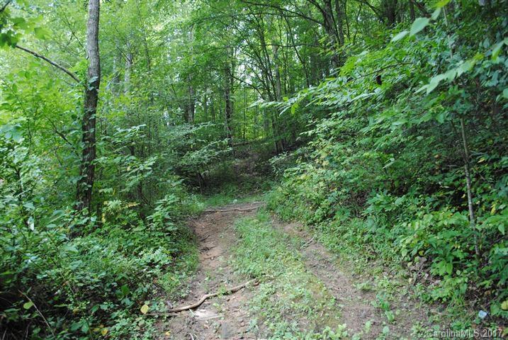 Off Bobcat Road Waynesville, NC 28785 - Photo 1 of 15