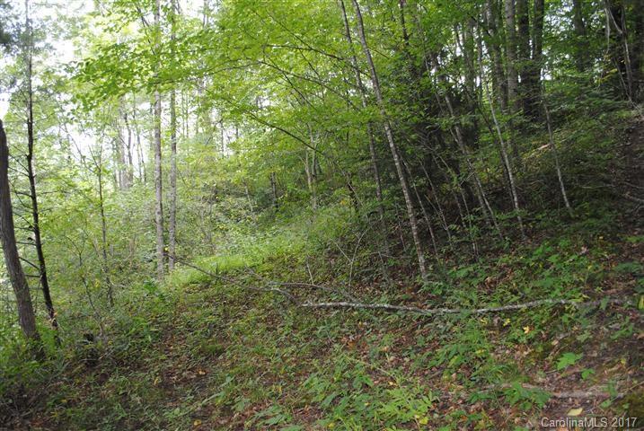 Off Bobcat Road Waynesville, NC 28785 - Photo 2 of 15