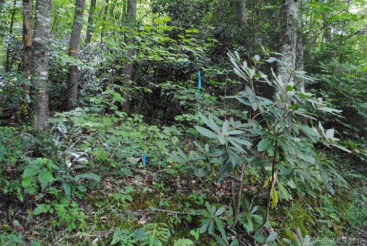 Off Bobcat Road Waynesville, NC 28785 - Photo 11 of 15
