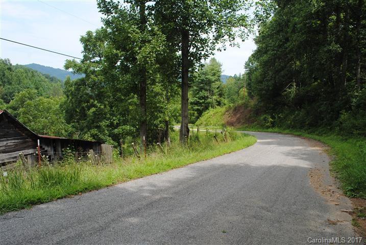 Off Bobcat Road Waynesville, NC 28785 - Photo 13 of 15