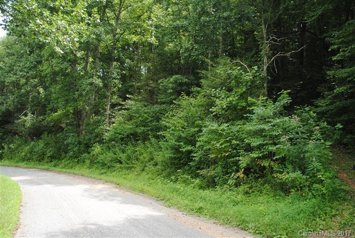 Off Bobcat Road Waynesville, NC 28785 - Photo 14 of 15