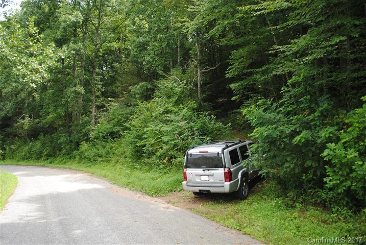 Off Bobcat Road Waynesville, NC 28785 - Photo 15 of 15