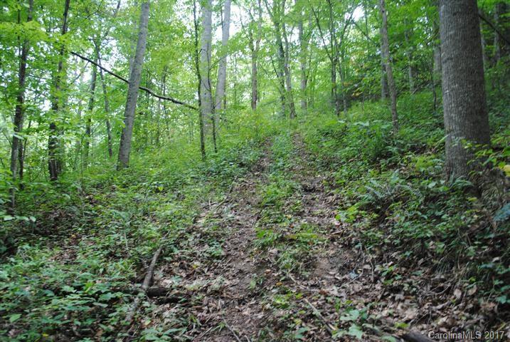 Off Bobcat Road Waynesville, NC 28785 - Photo 3 of 15