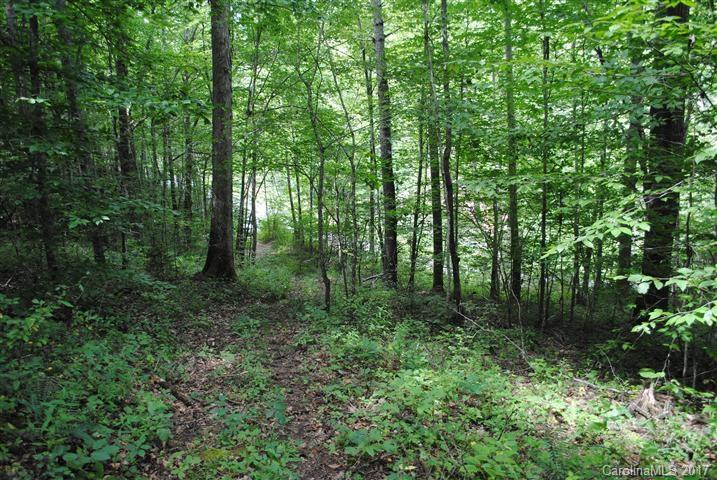 Off Bobcat Road Waynesville, NC 28785 - Photo 4 of 15