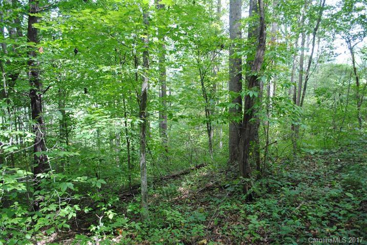 Off Bobcat Road Waynesville, NC 28785 - Photo 5 of 15
