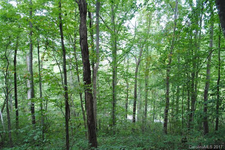 Off Bobcat Road Waynesville, NC 28785 - Photo 6 of 15