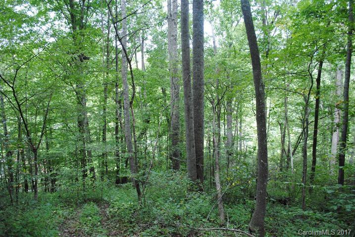 Off Bobcat Road Waynesville, NC 28785 - Photo 7 of 15