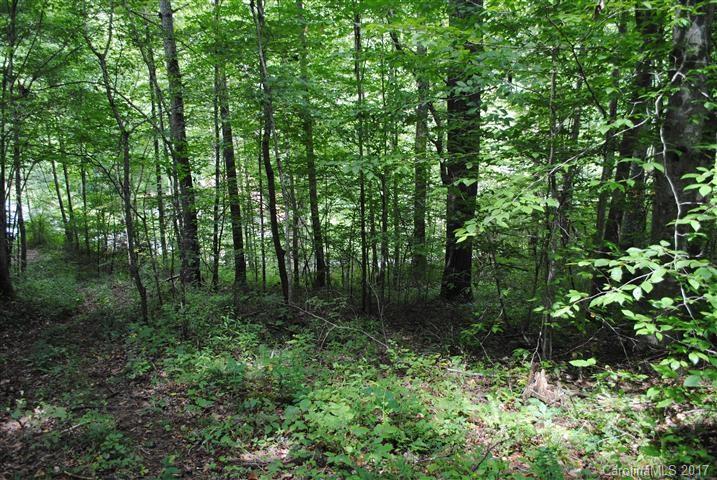 Off Bobcat Road Waynesville, NC 28785 - Photo 8 of 15