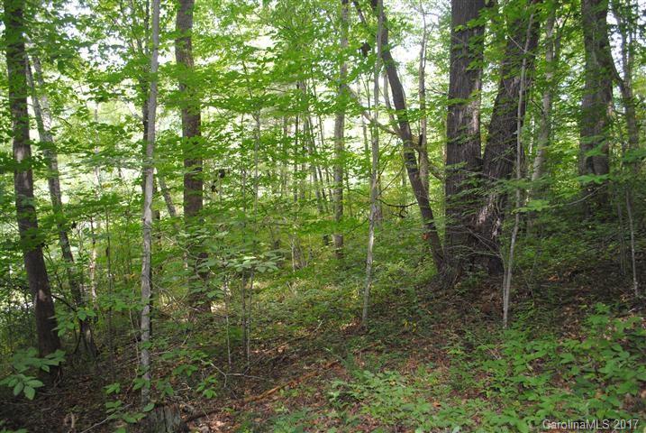 Off Bobcat Road Waynesville, NC 28785 - Photo 9 of 15