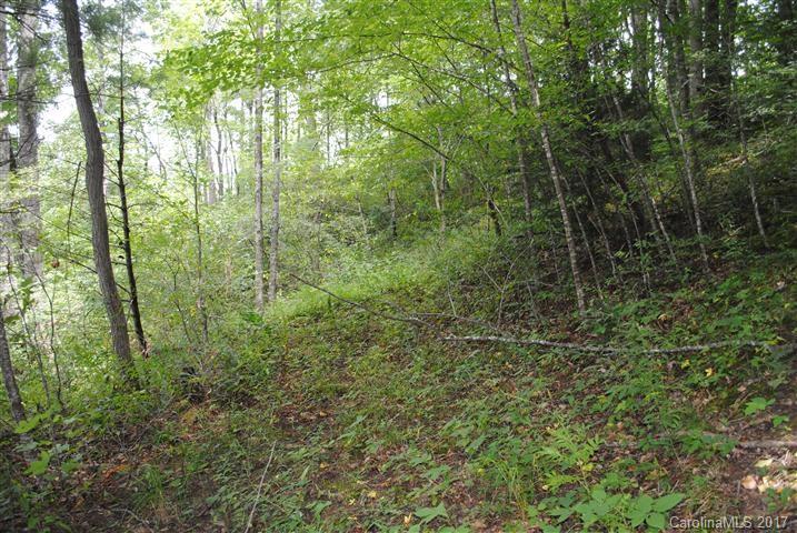 Off Bobcat Road Waynesville, NC 28785 - Photo 10 of 15