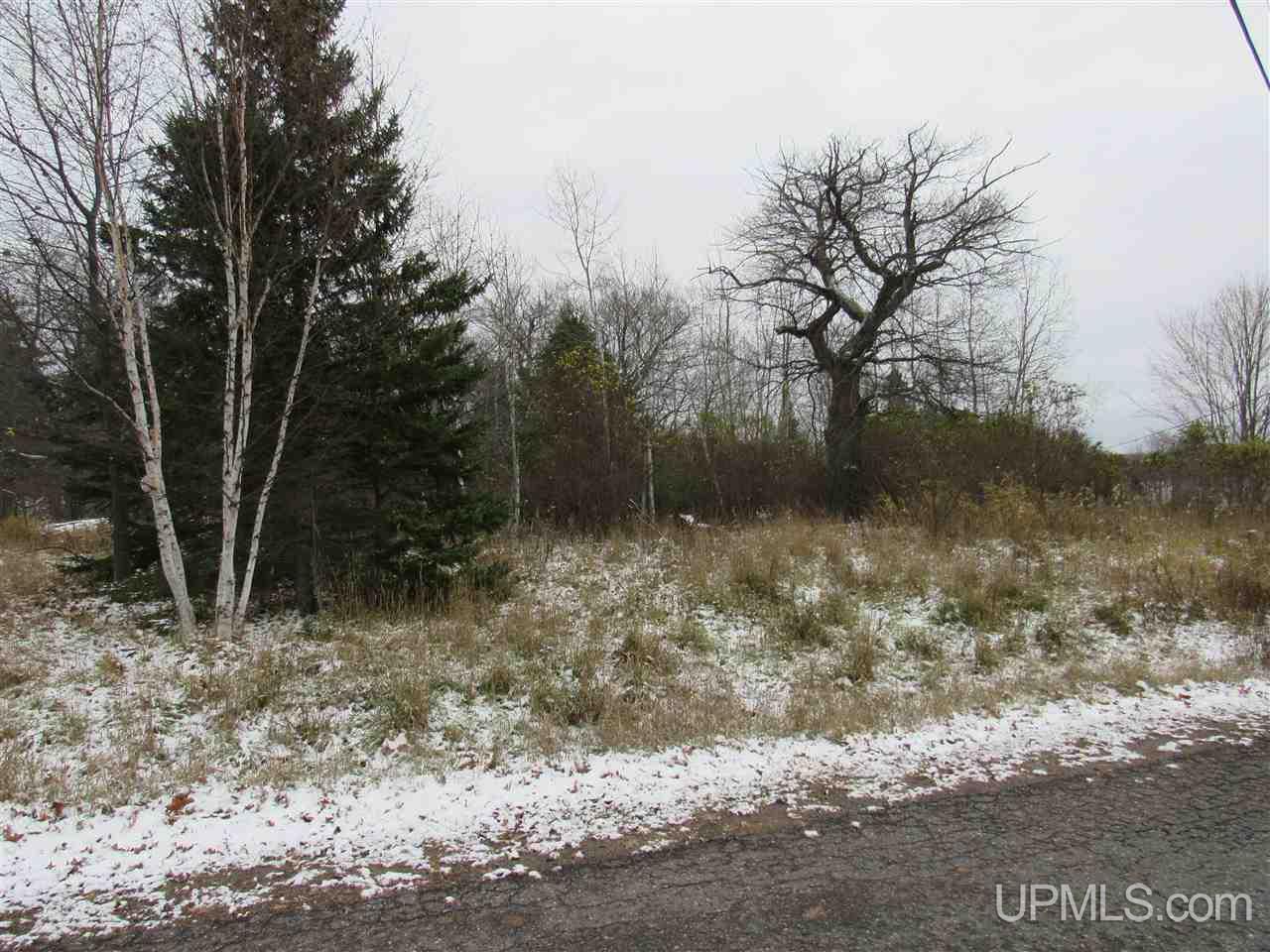 Lot 9 Ford Drive Road Lanse, MI 49946 - Photo 5 of 28