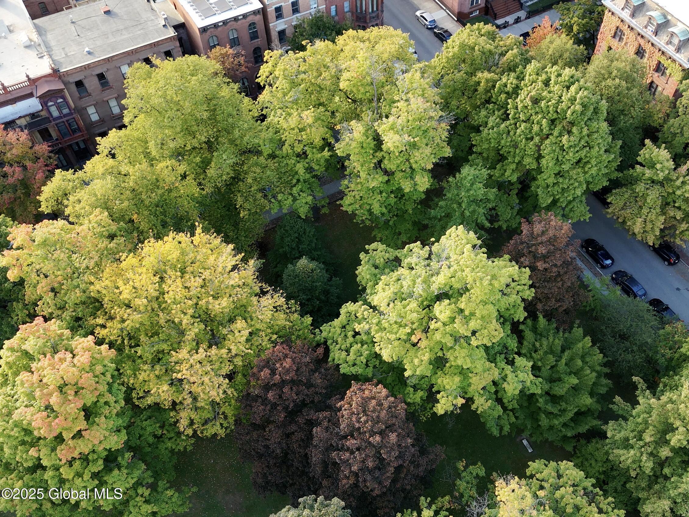 228 3rd Street Troy, NY 12180 - Photo 62 of 69 Washington Park 1