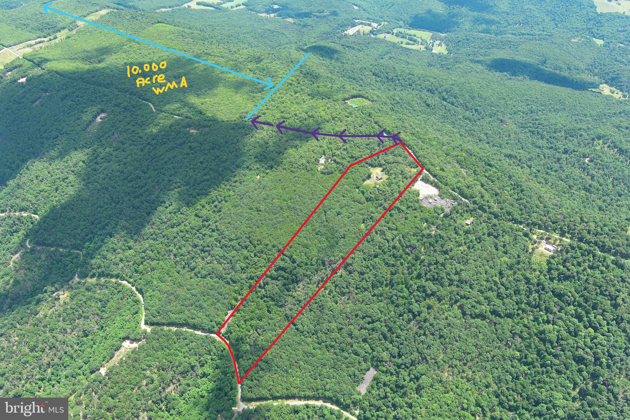 5982 South Branch Mountain Road Moorefield, WV 26836 - Photo 16 of 141