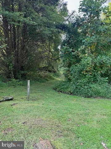a green field with lots of trees