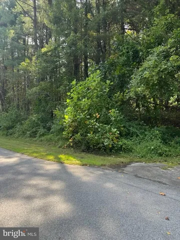 a view of a yard with a trees
