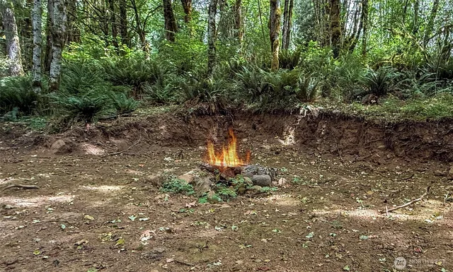 a backyard of a house with a yard and fountain