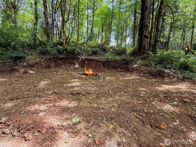 a backyard of a house with lots of green space