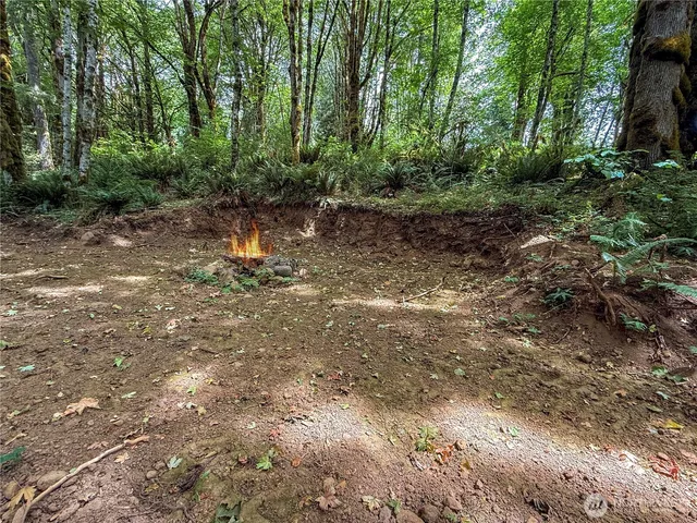 a backyard of a house with lots of green space