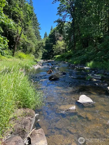 a view of a park with a tree