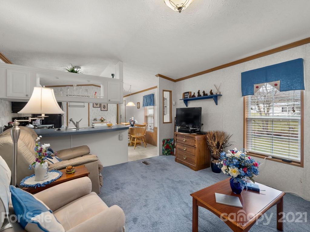 904 Riceville Road Asheville, NC 28805 - Photo 3 of 24 Gallery Image 3