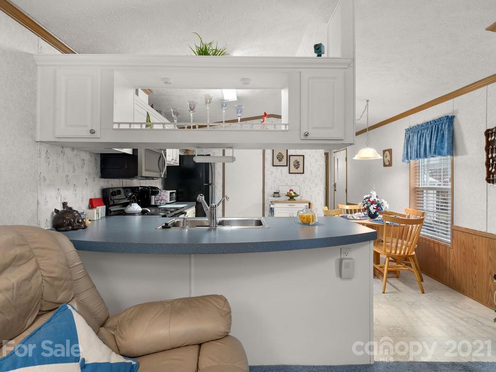 904 Riceville Road Asheville, NC 28805 - Photo 4 of 24 Gallery Image 4