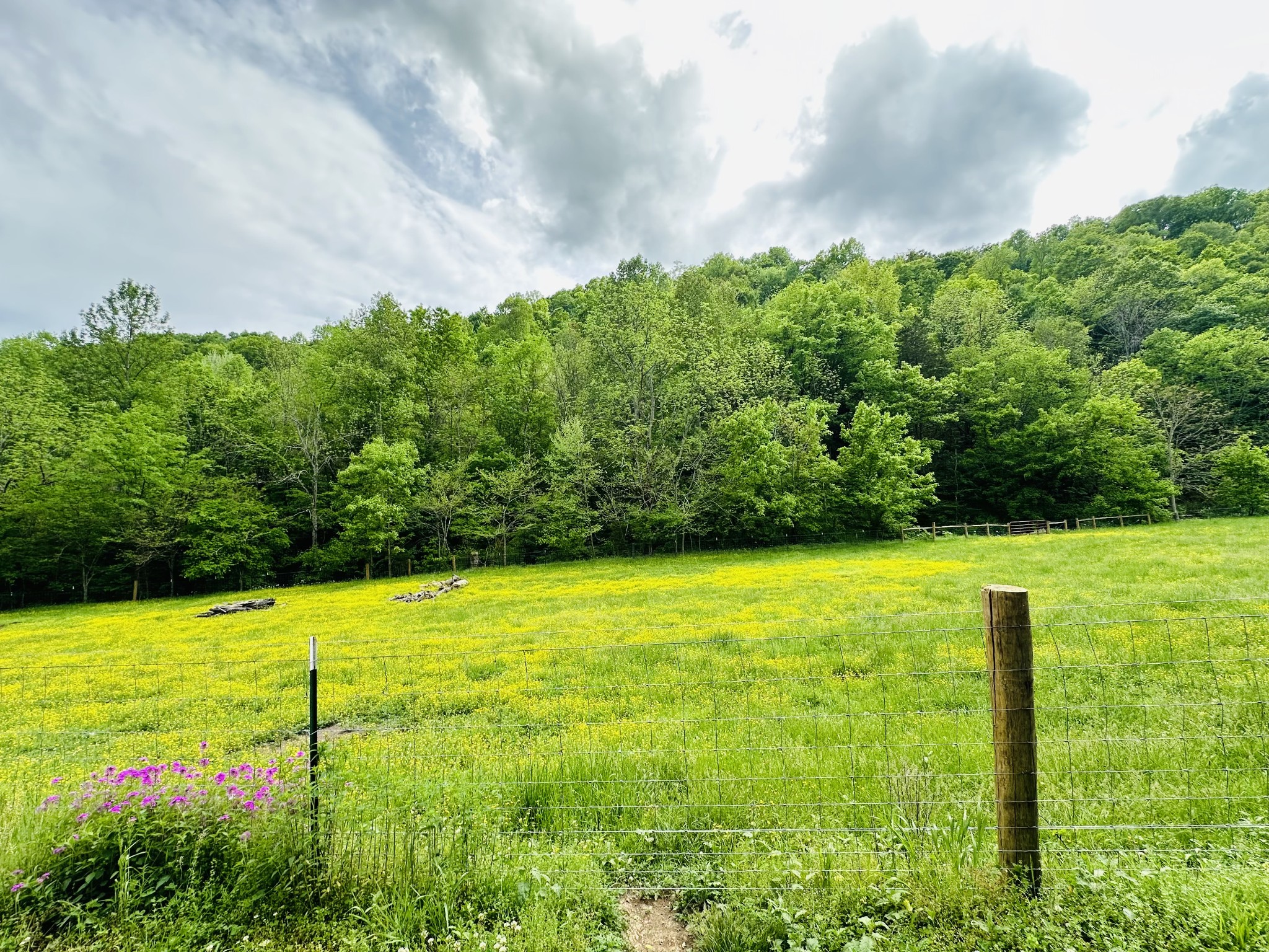 1611 Knob Creek Road Celina, TN 38551 - Photo 37 of 48