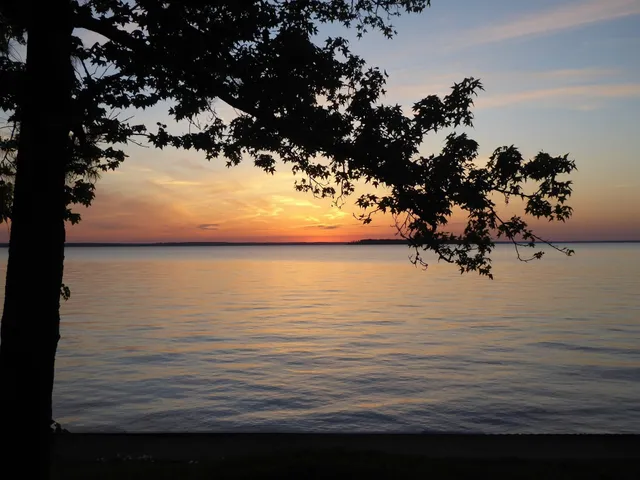 a living room filled with furniture and a potted plant