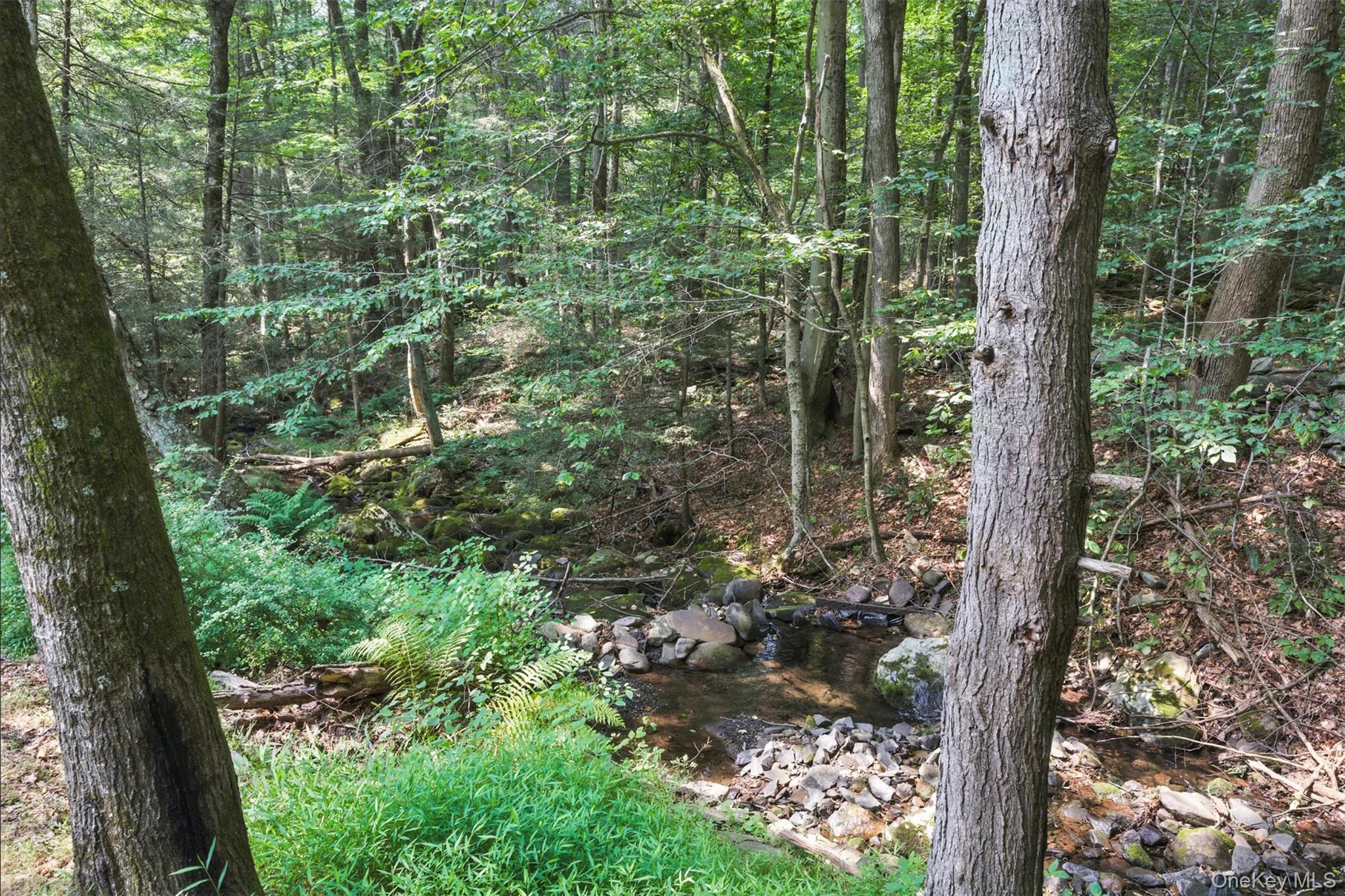 269 Oakland Valley Road Cuddebackville, NY 12729 - Photo 19 of 22