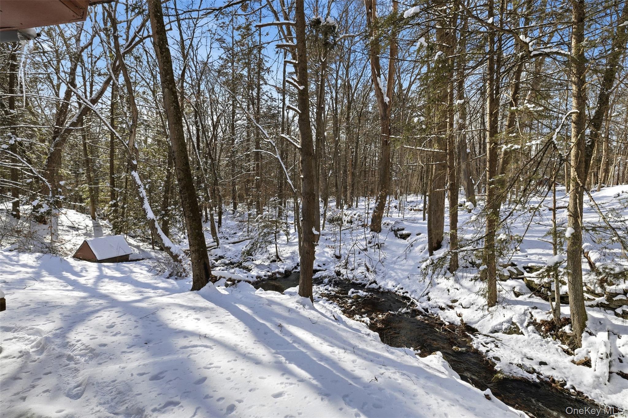 269 Oakland Valley Road Cuddebackville, NY 12729 - Photo 3 of 22 Creek view