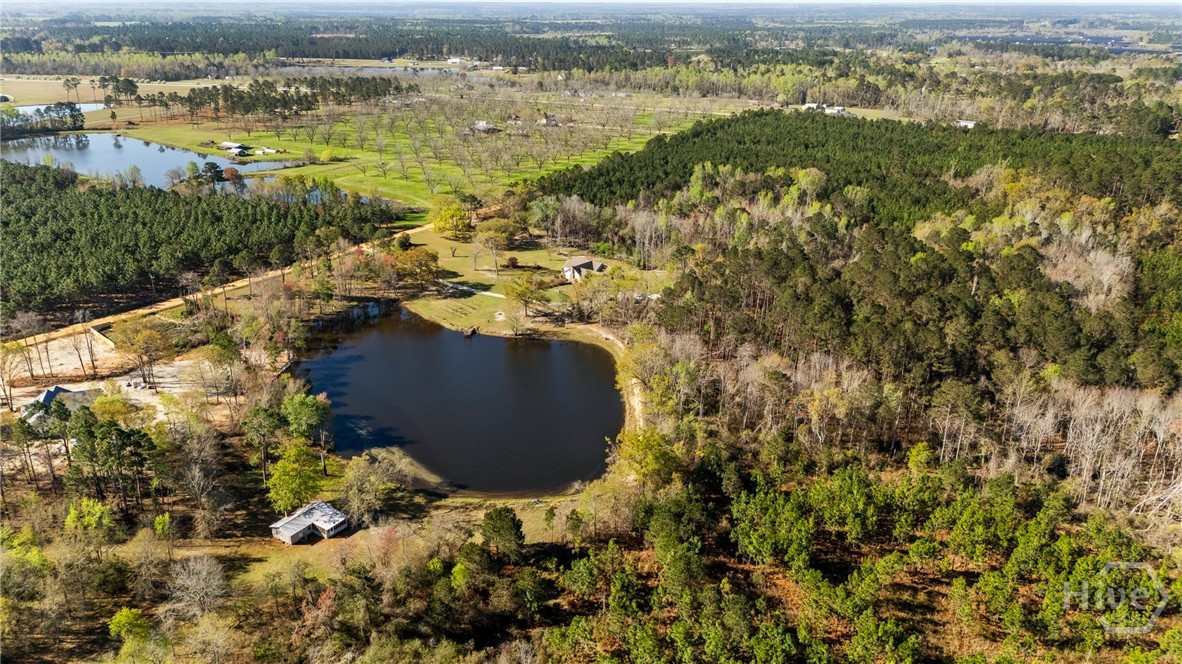 1569 Pond View Road Metter, GA 30439 - Photo 62 of 63