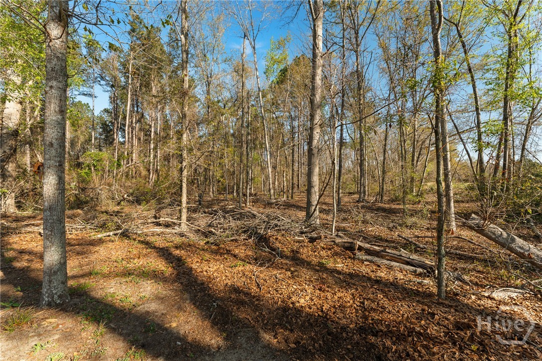 1569 Pond View Road Metter, GA 30439 - Photo 63 of 63