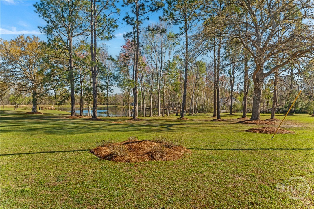 1569 Pond View Road Metter, GA 30439 - Photo 7 of 63