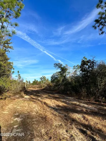 $16,900 | 3015 Castillo Drive, Alford, FL 32420