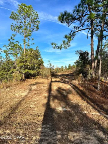 $16,900 | 3015 Castillo Drive, Alford, FL 32420