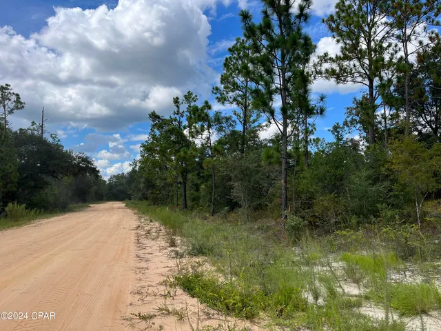 $16,900 | 3015 Castillo Drive, Alford, FL 32420