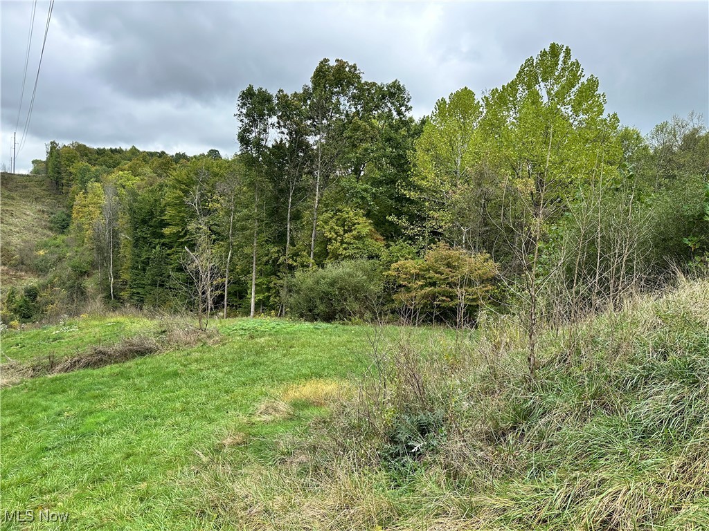 3275 Highland Ridge Road Lowell, OH 45744 - Photo 4 of 10 View of local wilderness