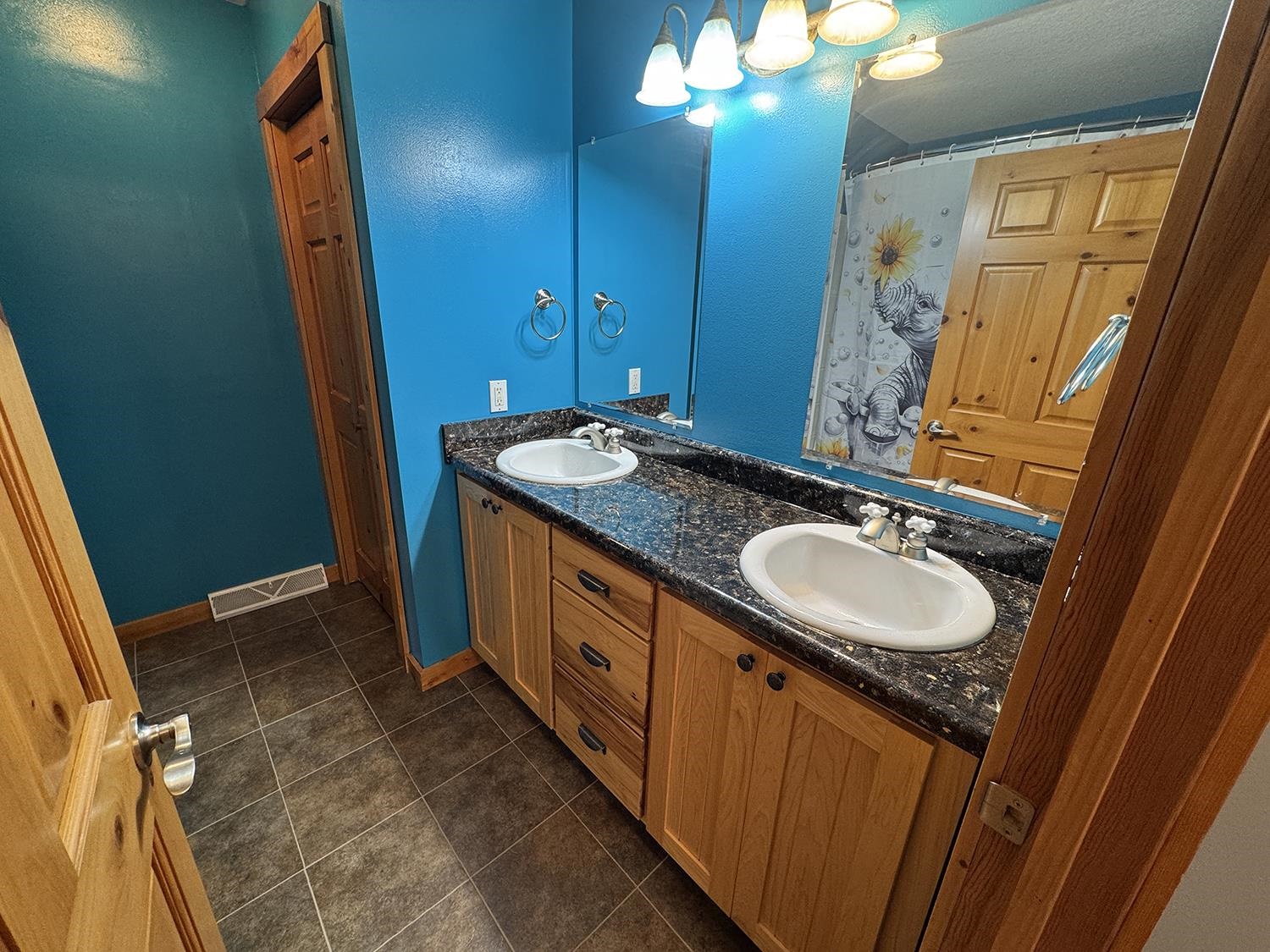 7876 Hickory Grove Road Savanna, IL 61074 - Photo 52 of 67 a bathroom with a sink and a mirror