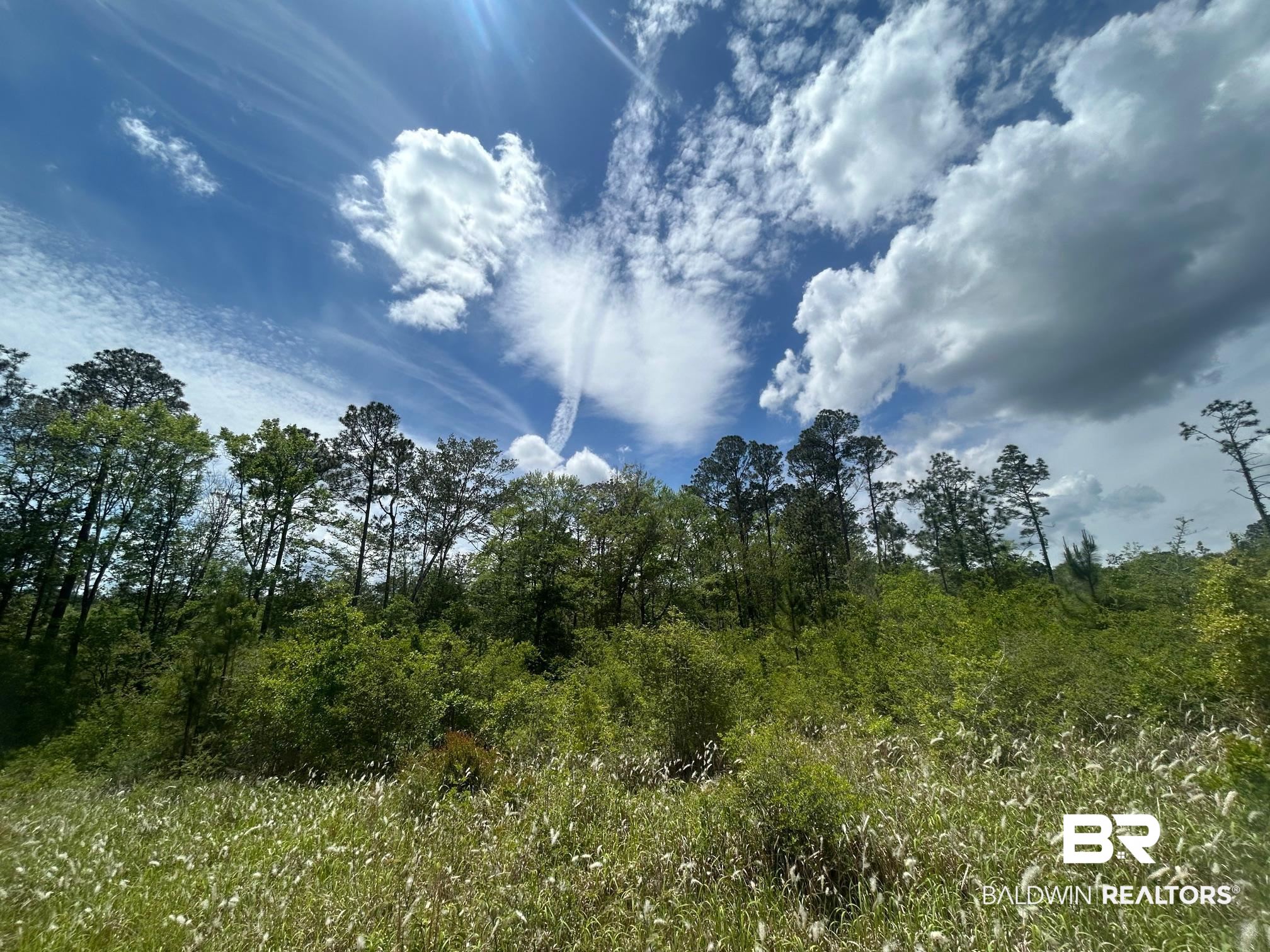 0 Hampton Road Mobile, AL 36608 - Photo 12 of 13