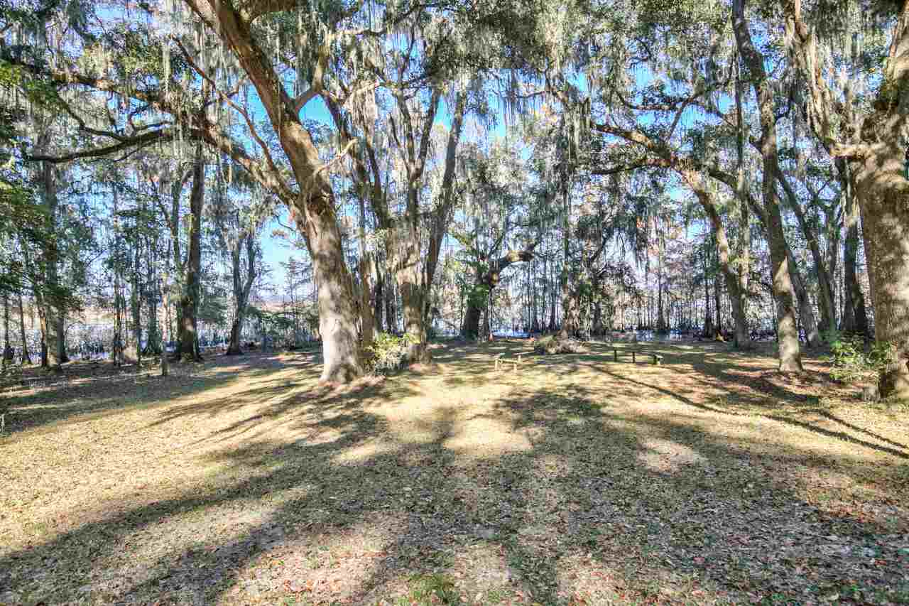 10943 Luna Point Road Tallahassee, FL 32312 - Photo 34 of 36 Gallery Image 34