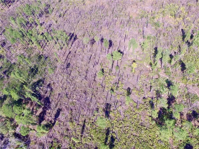 $125,000 | 456 South Sr-535, Orlando, FL 32821