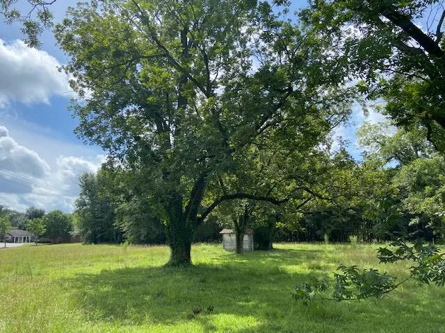 $124,900 | 415 Jones Bridge Road, North, SC 29112