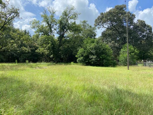 415 Jones Bridge Road North, SC 29112 - Photo 2 of 4 IMG_7152