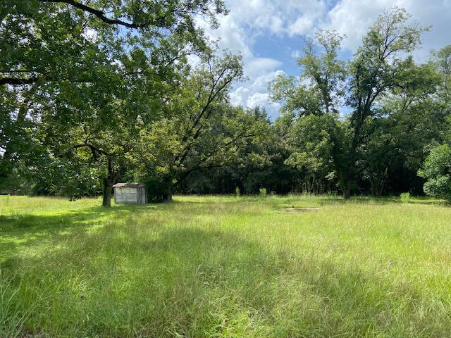 415 Jones Bridge Road North, SC 29112 - Photo 3 of 4 IMG_7153