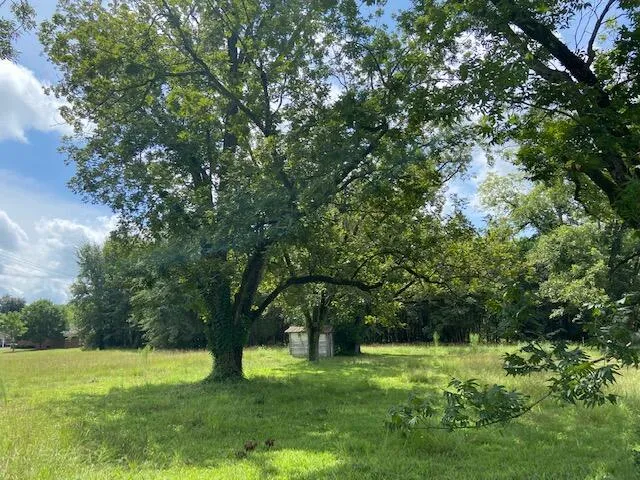 $124,900 | 415 Jones Bridge Road, North, SC 29112