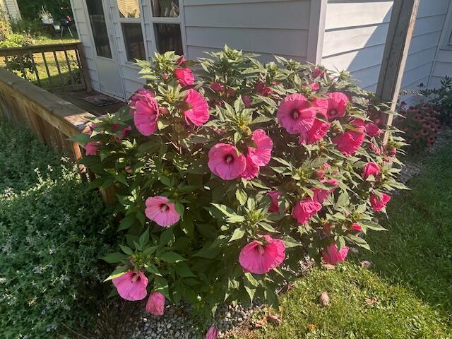 8039 Riley Road Farwell, MI 48622 - Photo 9 of 29 IMG_0930